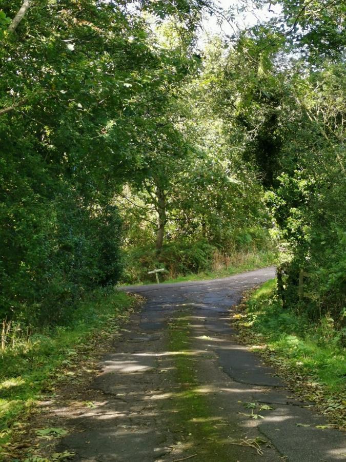 Grosmont Cottage, Ruswarp ウィットビー エクステリア 写真