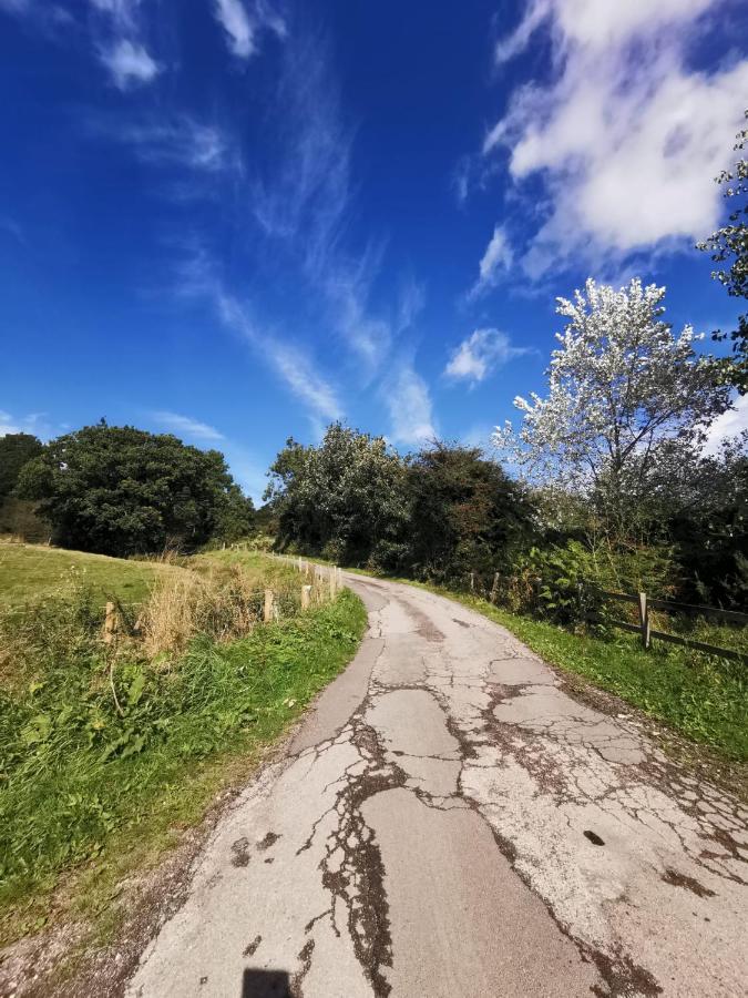 Grosmont Cottage, Ruswarp ウィットビー エクステリア 写真