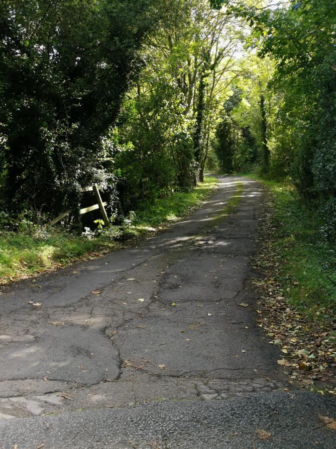 Grosmont Cottage, Ruswarp ウィットビー エクステリア 写真