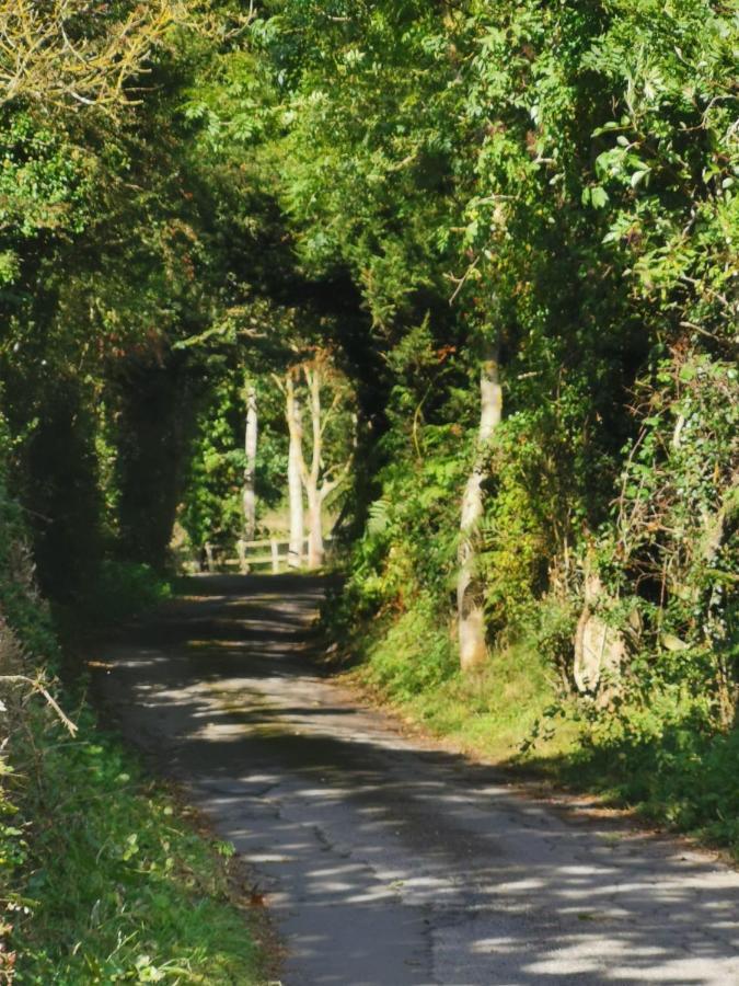 Grosmont Cottage, Ruswarp ウィットビー エクステリア 写真