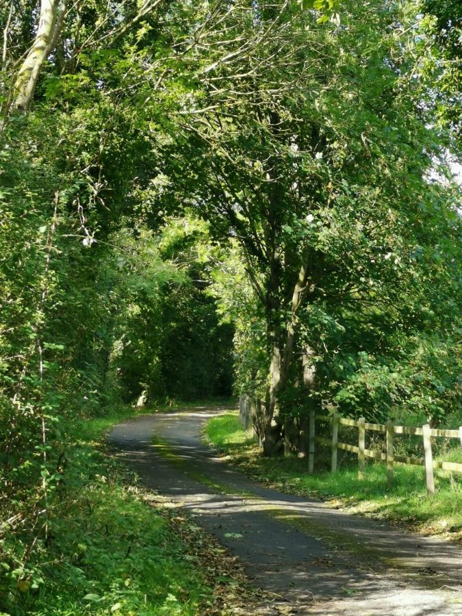 Grosmont Cottage, Ruswarp ウィットビー エクステリア 写真